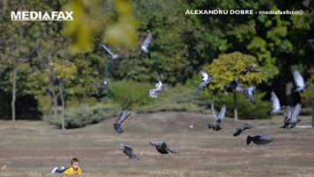 Caniculă în București, ploi torențiale în 7 județe. Cum va fi vremea până luni