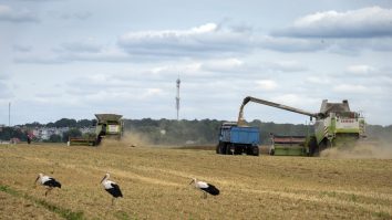 Cum se împart cerealele ucrainene între est și vest: un conflict de interese