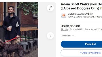 Cum încearcă actorii de la Hollywood să strângă fonduri pentru colegii aflați în grevă? Un actor din „Oppenheimer” face o serenadă pe Zoom pentru cel care oferă mai mulți bani/ Adam Scott plimbă câini contra-cost