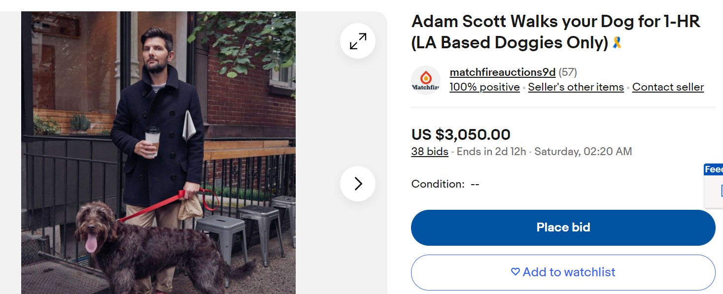 Cum încearcă actorii de la Hollywood să strângă fonduri pentru colegii aflați în grevă? Un actor din „Oppenheimer” face o serenadă pe Zoom pentru cel care oferă mai mulți bani/ Adam Scott plimbă câini contra-cost