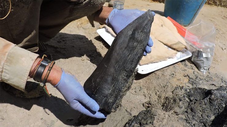 Descoperire unică în Zambia. Arheologii au găsit o structură de lemn veche de aproape jumătate de milion de ani