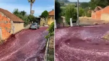 Un orășel din Portugalia a fost vopsit în roșu cu 2,2 milioane de litri de vin. Vinul ar fi putut umple o piscină olimpică