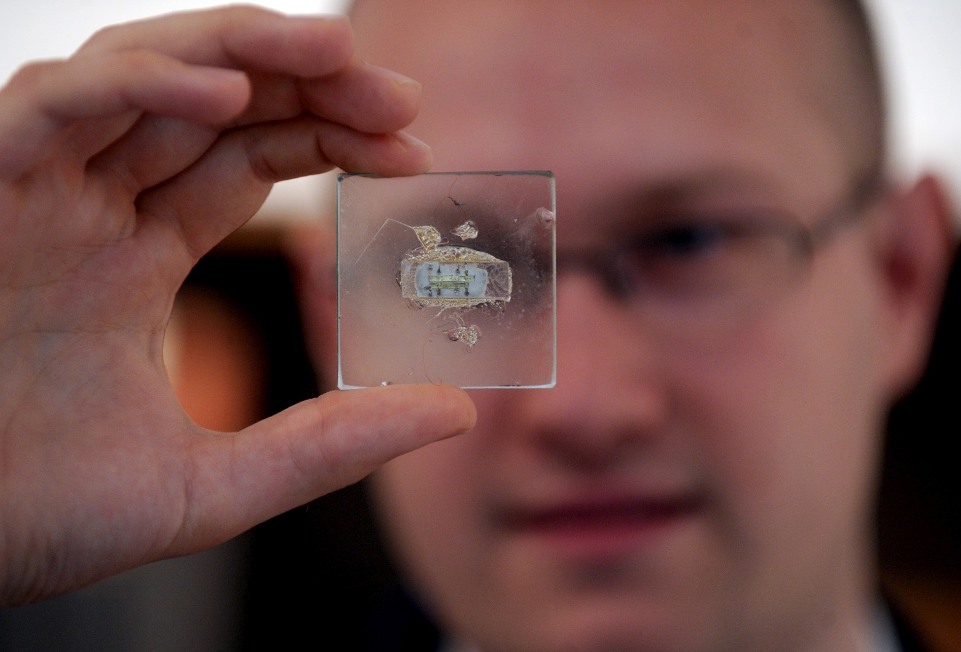 Trăiești în Aleph: Mai multe companii precum Neuralink a lui Elon Musk testează implantarea de cip-uri