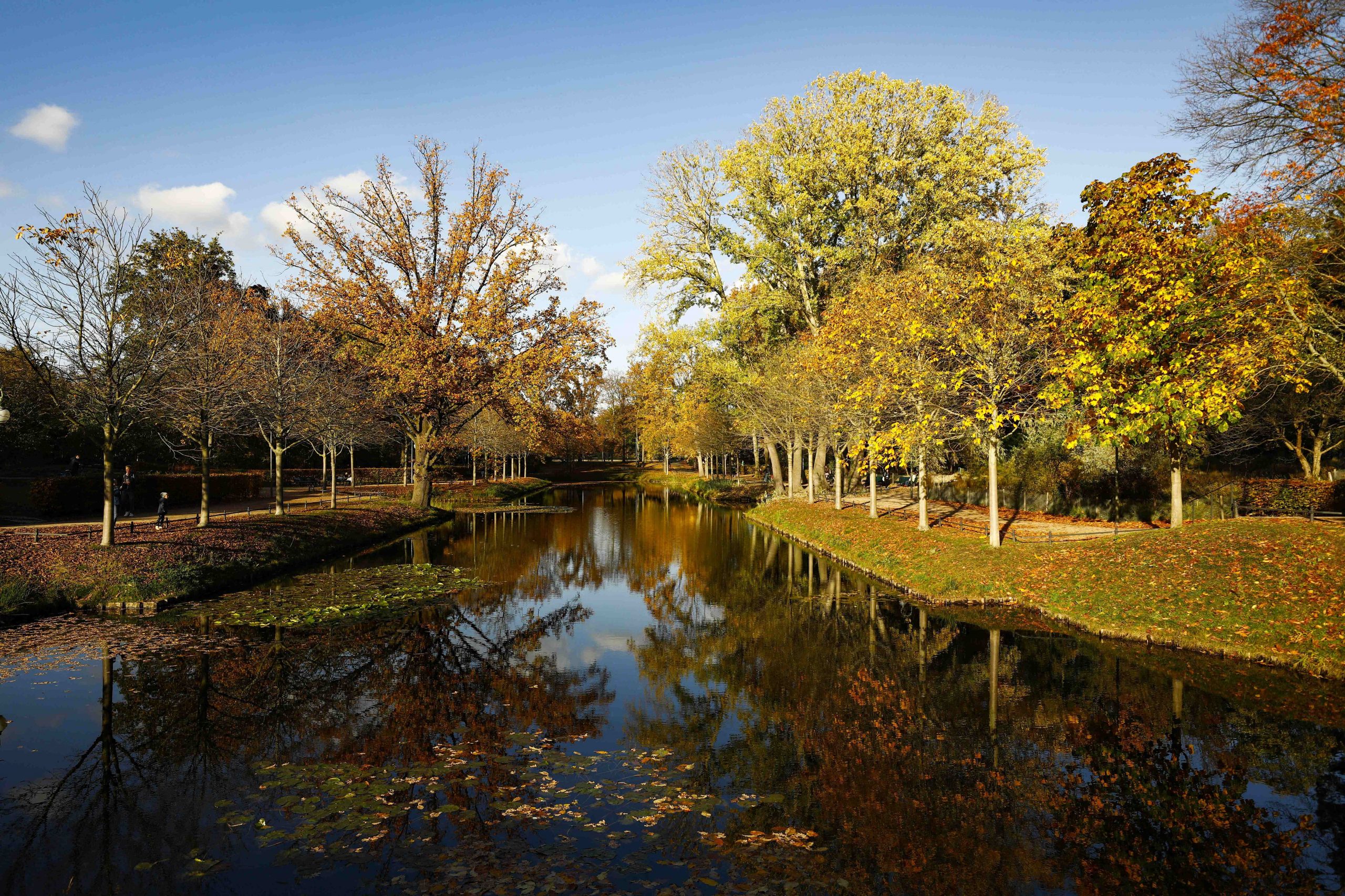 Toamnă blândă, dar ploioasă. Cum vor fi temperaturile în septembrie