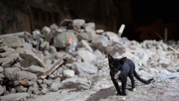 Numărul morților a crescut la 2600 în urma cutremurului din Maroc. Spania, Quatar, UAE și UK sunt țările de la care națiunea africană a acceptat ajutor