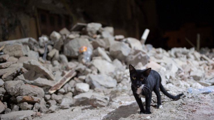 Numărul morților a crescut la 2600 în urma cutremurului din Maroc. Spania, Quatar, UAE și UK sunt țările de la care națiunea africană a acceptat ajutor