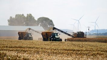 Ciolacu asigură fermierii că nu există cereri de export al cerealelor ucrainene. Agricultor: Țările europene vor să cumpere cereale cât mai ieftine