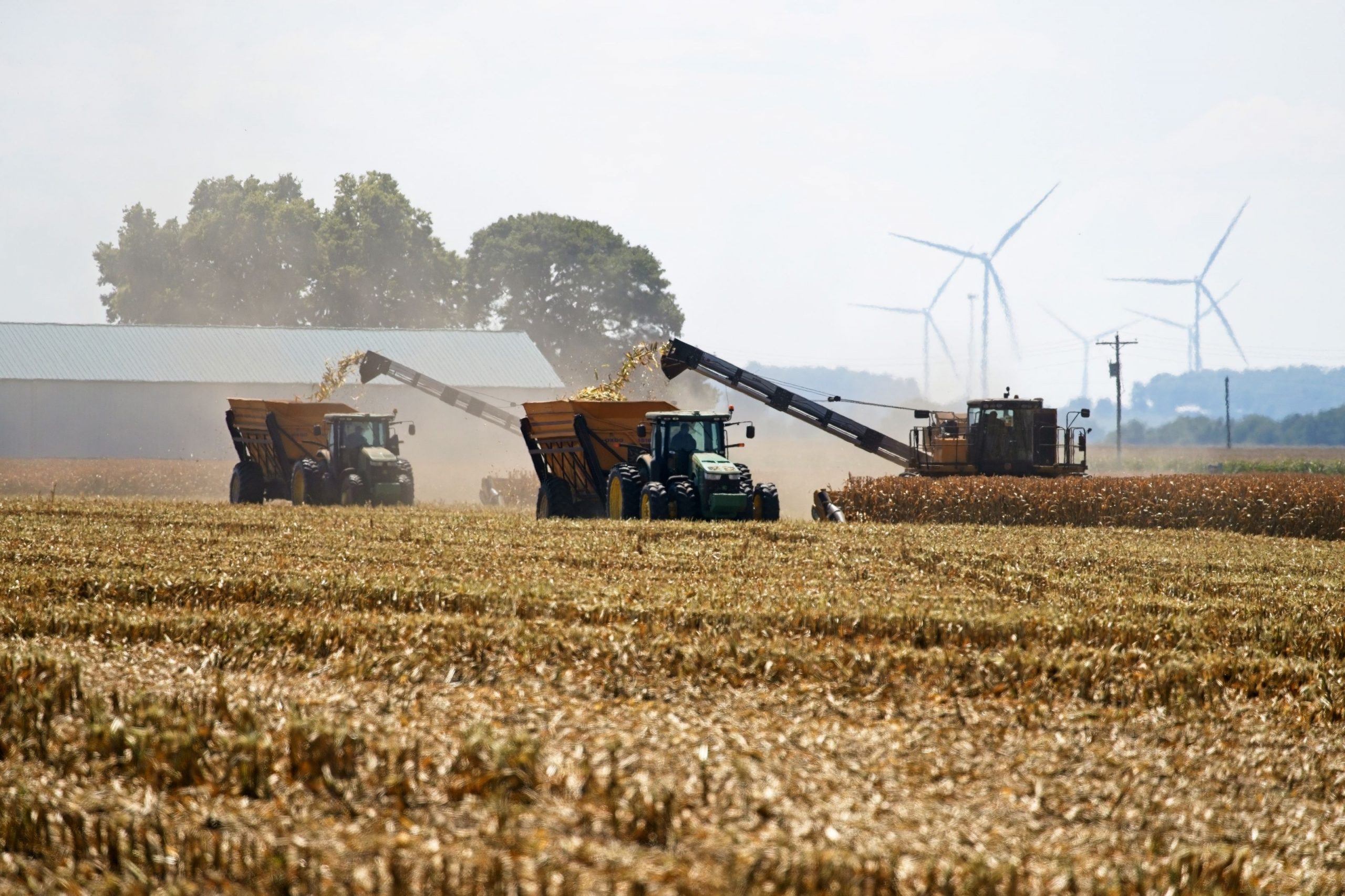 Ciolacu asigură fermierii că nu există cereri de export al cerealelor ucrainene. Agricultor: Țările europene vor să cumpere cereale cât mai ieftine