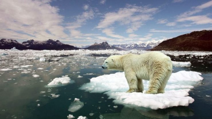 Încălzirea globală extremă va elimina probabil toate mamiferele, inclusiv oamenii. Noul studiu arată că acest fenomen se va întâmpla în 250 de milioane de ani