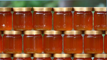 Mierea contrafăcută revine în atenția publicului. România are șansa de a pune din nou miere nefalsificată pe mesele românilor prin Good Food Project