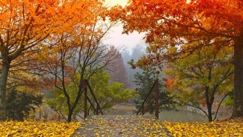 Prognoza meteo pentru următoarele patru săptămâni: Luna octombrie va avea temperaturi mai ridicate decât cele normale