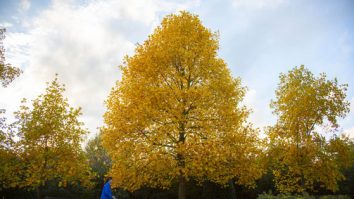 Toamna ai vreme caldă. Ce temperaturi te așteptă în următoarele 4 săptămâni