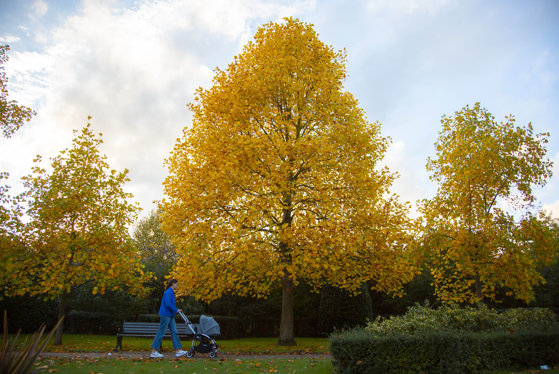 Toamna ai vreme caldă. Ce temperaturi te așteptă în următoarele 4 săptămâni
