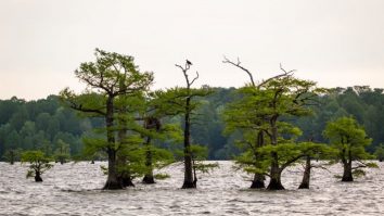 Ziua Internațională a Reducerii Riscurilor la Dezastre. Cât de sigure sunt locuințele românilor