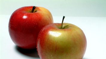 Merele și perele, comorile toamnei. Ce facem cu ele?