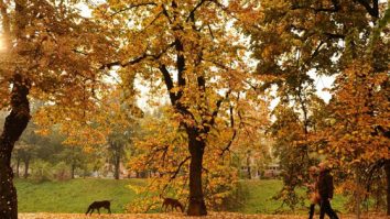 Octombrie cu vreme caldă. Ce temperaturi te așteaptă în următoarele 4 săptămâni