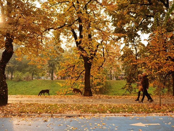 Toamna nu vine nici în octombrie. Cum va fi vremea în următoarele 4 săptămâni