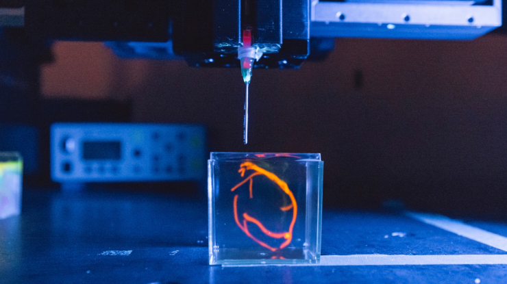 Universitatea Standford lucrează la metodă de a crea o inima imprimată 3D. Testele clinice pe animale vor începe în următorii 5 ani