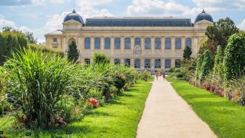 Ce vizitezi în Paris săptămână asta? Noi expoziții și escapade în lumea virtuală a oceanelor te așteaptă în orașul luminilor