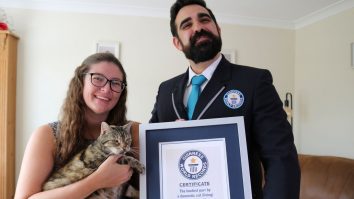 Record pisicesc pentru cel mai zgomotos tors. O felină din UK a bătut Guinnes World Records