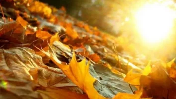 Prognoza meteo pentru următoarea perioadă. Vremea neobișnuit de caldă continuă toată săptămâna