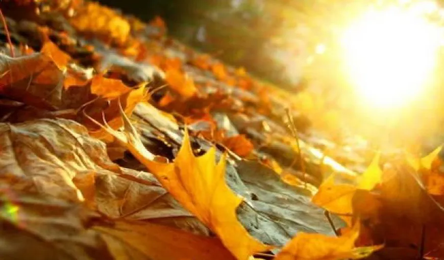 Prognoza meteo pentru următoarea perioadă. Vremea neobișnuit de caldă continuă toată săptămâna