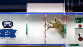 VIDEO. YouTuber-ul Mark Rober a creat o cursă cu obstacole subacvatice în 9 părți pentru caracatița sa de companie