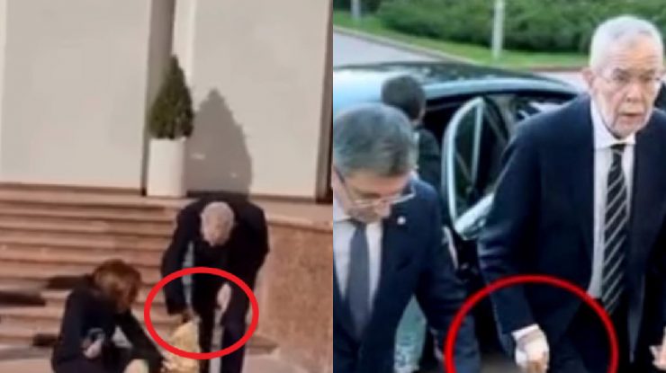 Codruţ, câinele Maiei Sandu, l-a muşcat de mână pe preşedintele Austriei