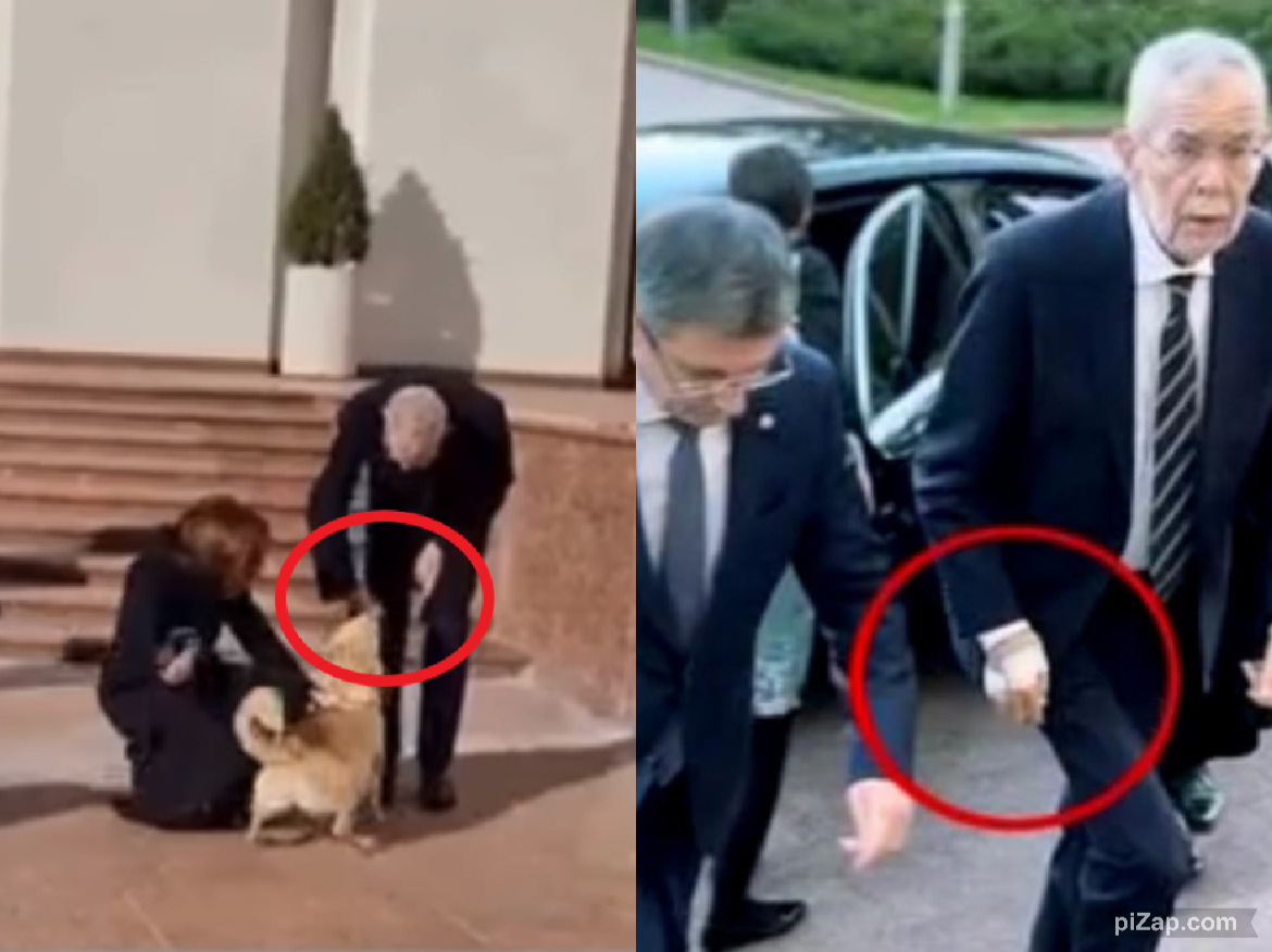 Codruţ, câinele Maiei Sandu, l-a muşcat de mână pe preşedintele Austriei