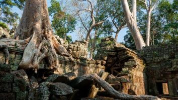 Când oamenii pleacă, natura își revine. Cum arată locurile care au renăscut de când sunt abandonate