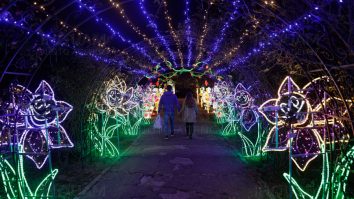 Grădina Botanică a Universității din București se transformă în Grădina Luminilor. Când poți vedea instalația „Alice în Țara Minunilor”
