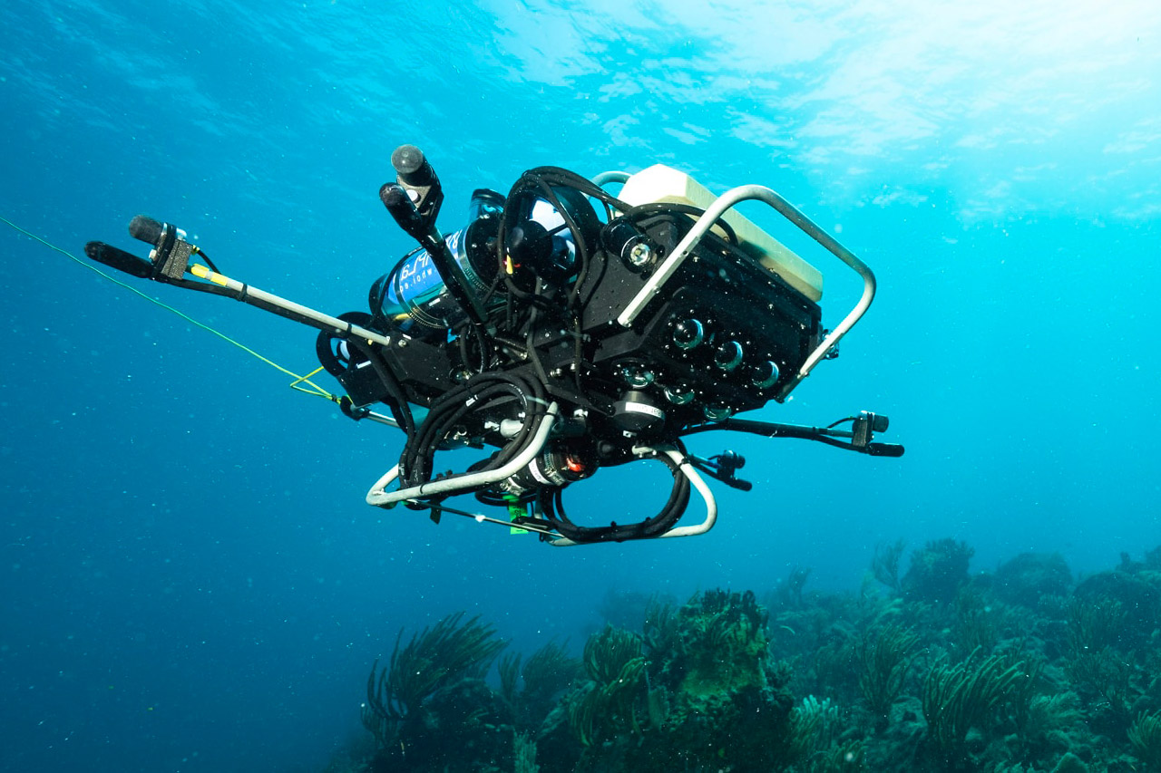 Robotul CUREE explorează adâncimile pentru a salva recifele de corali