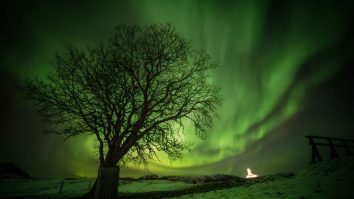 FOTO-VIDEO. Imagini inedite cu aurora boreală din avion. Un pilot a surprins fenomenul în timpul unui zbor spre Lisabona