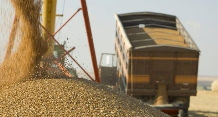 România este statul UE cu cele mai mare exporturi de cereale în țări terțe. Radu Daniel: „Nu avem capacitatea de a procesa toată producția pe care România o are”