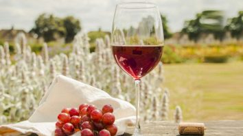 De ce vinul roșu dă cele mai mari dureri de cap? Cercetătorii vin cu explicații