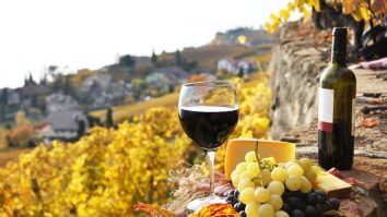 Producţia mondială de vin a scăzut la cel mai mic nivel din ultimii 62 de ani. Director cramă: „Anul acesta, în Europa a fost un sezon provocator, dificil”