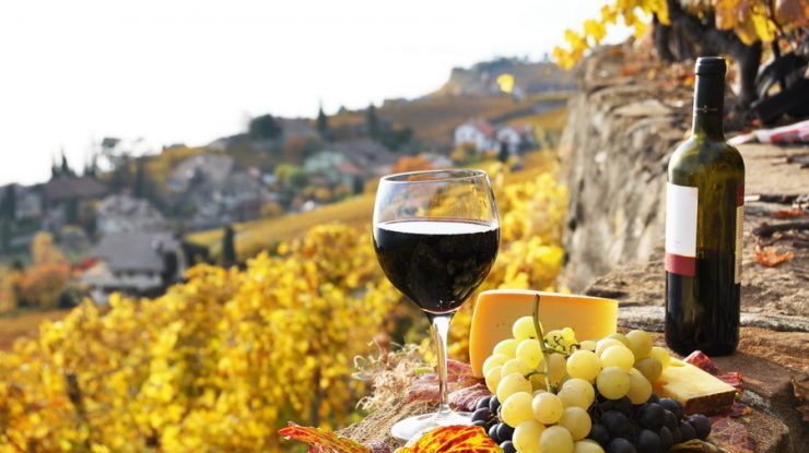 România ocupă locul 6 la producția de vin, în rândul Uniunii Europene. Luca Aurelian, somelier: „Noi nu suntem atât de bine cunoscuți peste hotare”