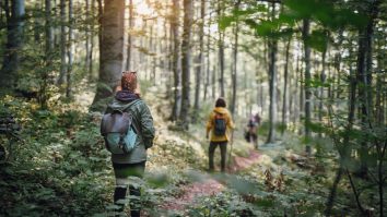 STUDIU. Ce impact are natura asupra creierului