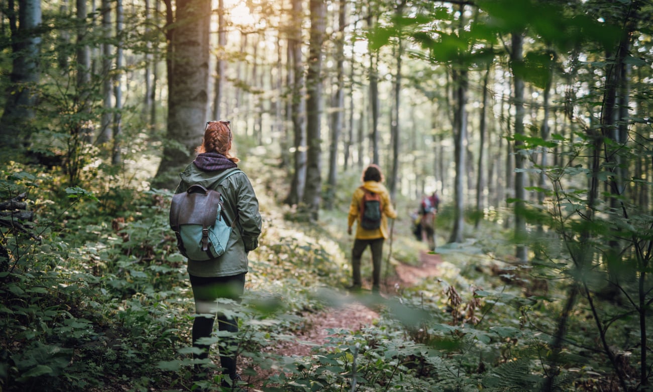 STUDIU. Ce impact are natura asupra creierului