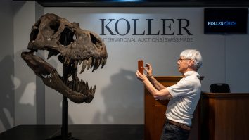 Fosila unui tiranozaur, veche de 75 de milioane de ani, a fost descoperită. Care a fost ultima sa masă