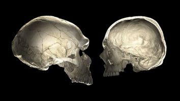 STUDIU. Neanderthalienii erau matinali. Ce au descoperit cercetătorii
