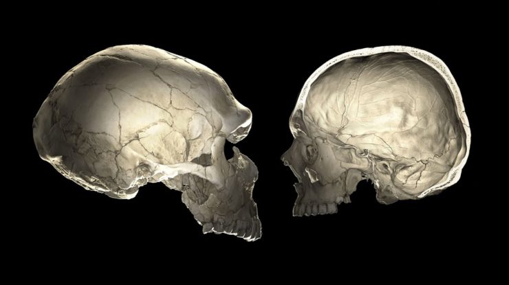 STUDIU. Neanderthalienii erau matinali. Ce au descoperit cercetătorii