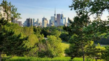 Orașul-burete, un model urbanistic ce poate salva. Cum a luat naștere conceptul