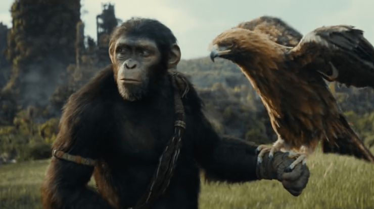 „Kingdom Of The Planet Of The Apes” dă startul unei noi trilogii. Întâmplările au loc la aproape 300 de ani după sfârșitul lui Caesar
