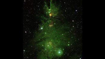 Pomul de Crăciun cosmic: Spectacolul stelar al NGC 2264