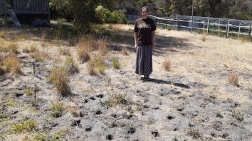 FOTO. „Cel mai urât gazon din lume”. În ce țară se află