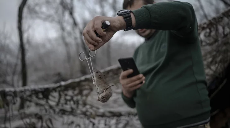 Coșmar pe frontul din Ucraina: Soldații vomită și au sângerări oculare din cauza șoarecilor și șobolanilor. Ororile din Primul Război Mondial se repetă