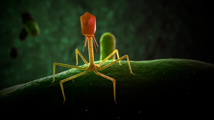 Criza superbacteriilor amenință să ucidă 10 milioane de oameni pe an până în 2050. Oamenii de știință ar putea avea o soluție