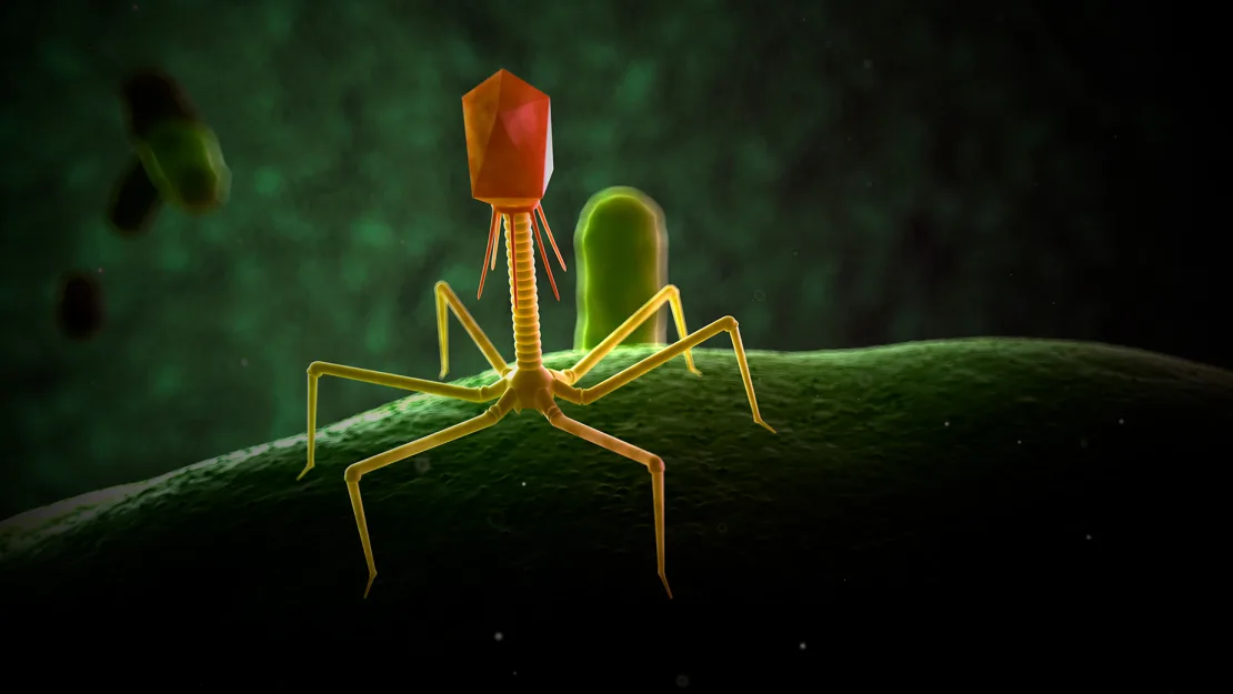 Criza superbacteriilor amenință să ucidă 10 milioane de oameni pe an până în 2050. Oamenii de știință ar putea avea o soluție