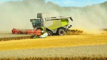 Fermierii români cer control mai strict pentru cerealele ucrainene. Răzvan Botea: „Vor să se stabilească exact câte cereale intră și ies din România”